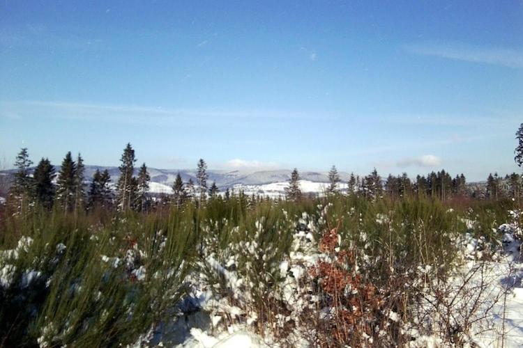 Cosy Apartment In Menkhausen Near The Ski Area Шмаленберг Екстериор снимка