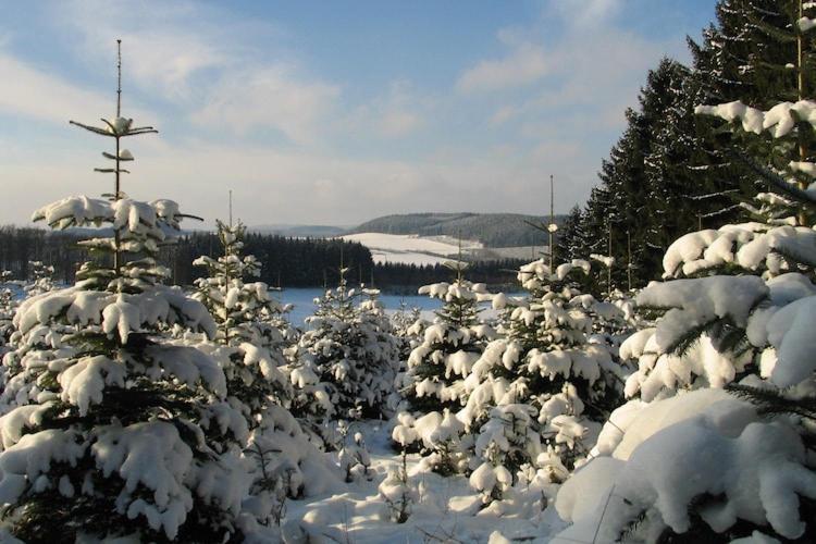 Cosy Apartment In Menkhausen Near The Ski Area Шмаленберг Екстериор снимка