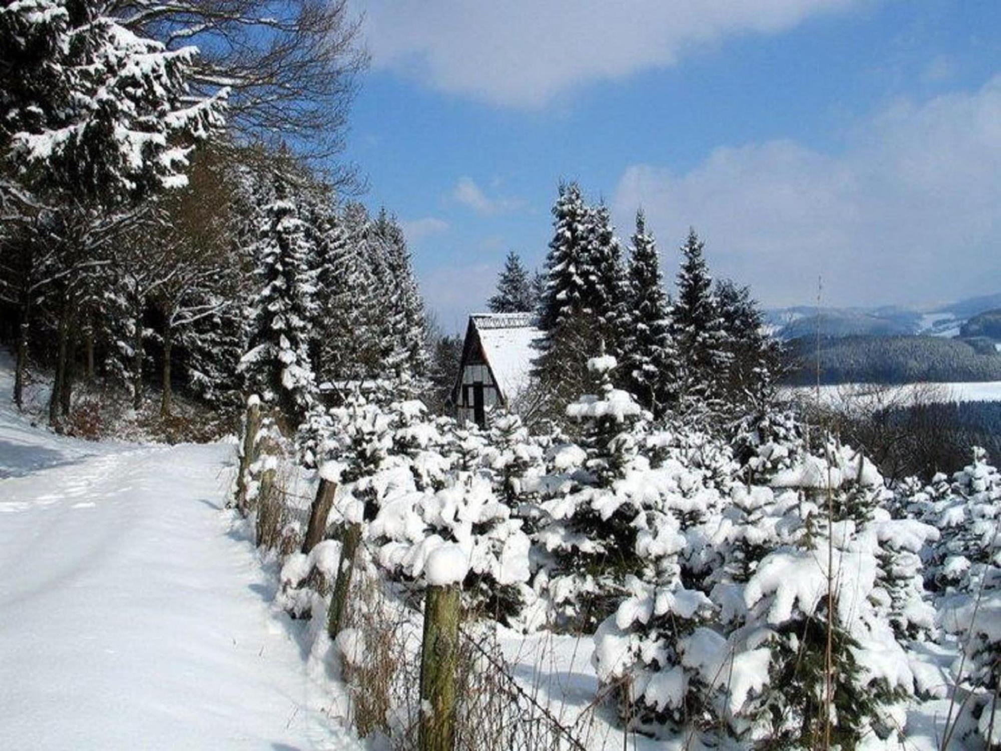 Cosy Apartment In Menkhausen Near The Ski Area Шмаленберг Екстериор снимка