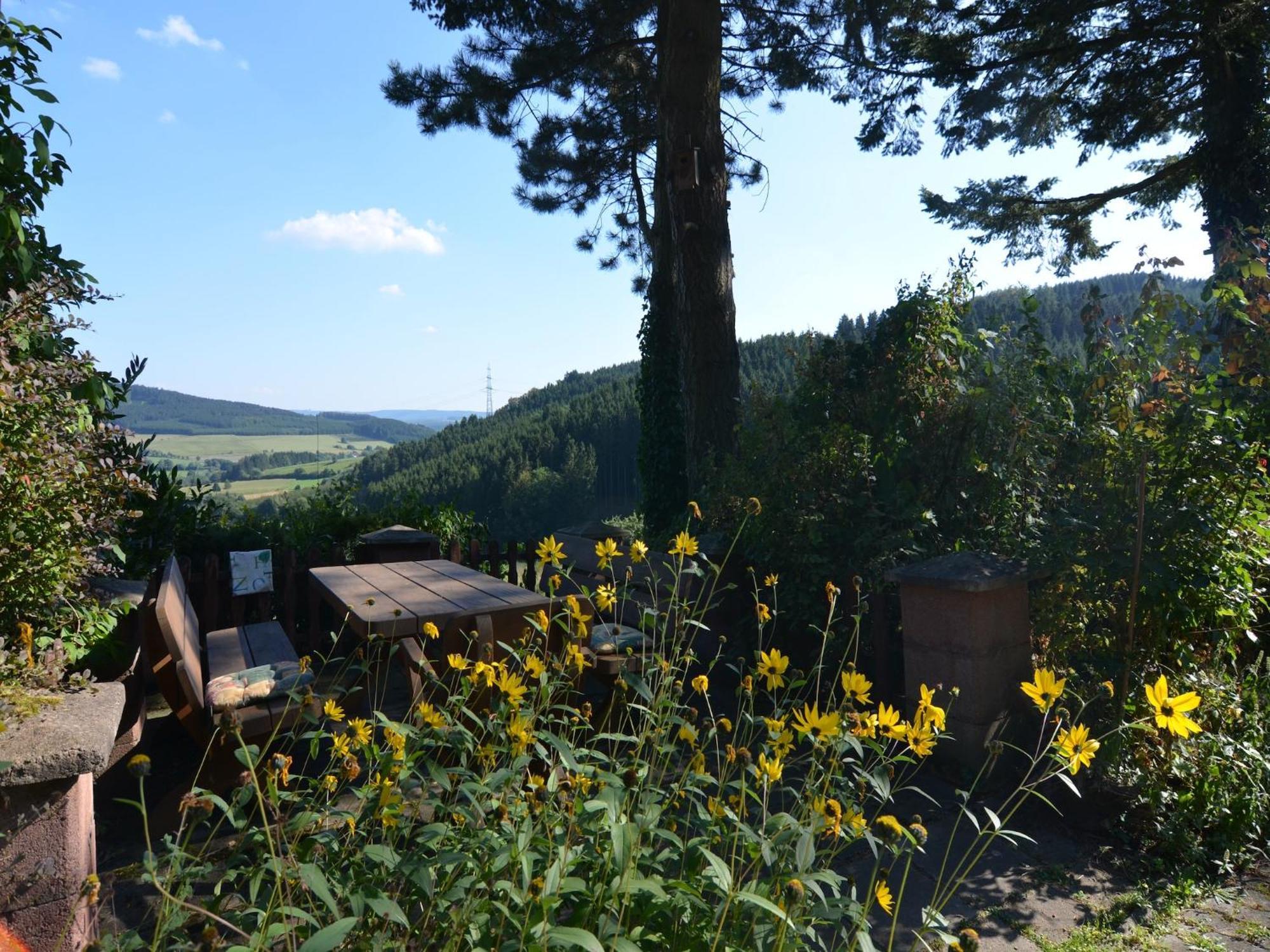 Cosy Apartment In Menkhausen Near The Ski Area Шмаленберг Екстериор снимка